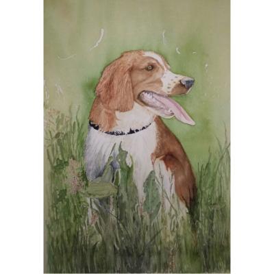 Timo 2 30x40 Verkocht