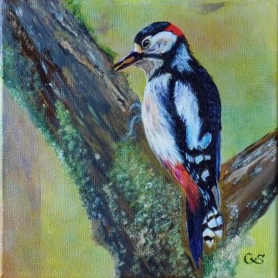 Bonte Specht 03 Doek 20x20