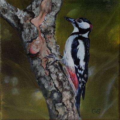 Bonte Specht Doek 20x201