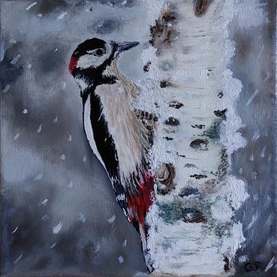 Bonte Specht Doek 20x20