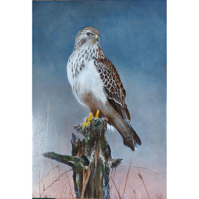 Buizerd 2 Paneel 28x40