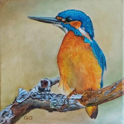 Ijsvogeltje 02 Doek 20x20