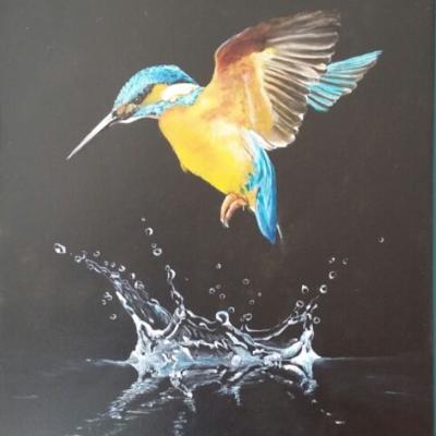 Ijsvogeltje 03 Doek 20x20