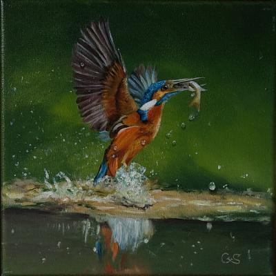 Ijsvogeltje 05 Doek 20x20