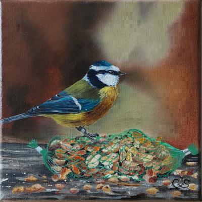 Koolmees Doek 20 X 20