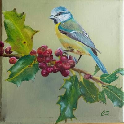 Pimpelmees 01 Doek 20x20