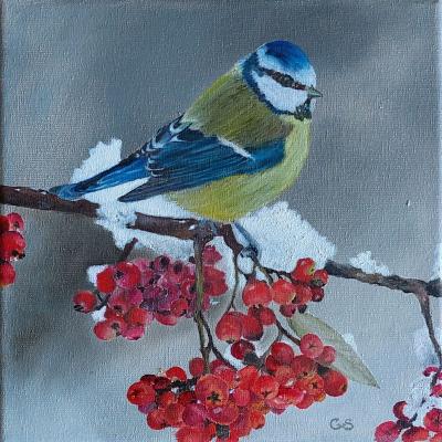 Pimpelmees 02 Doek 20x20