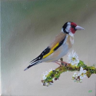 Puttertje 01 Doek 20x20