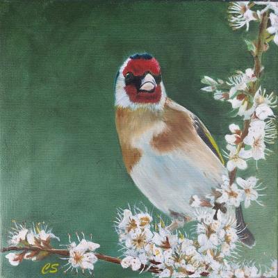 Puttertje 02 Doek 20x20