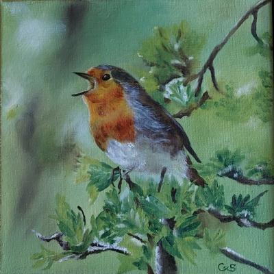 Roodborstje 01 Doek 20x20