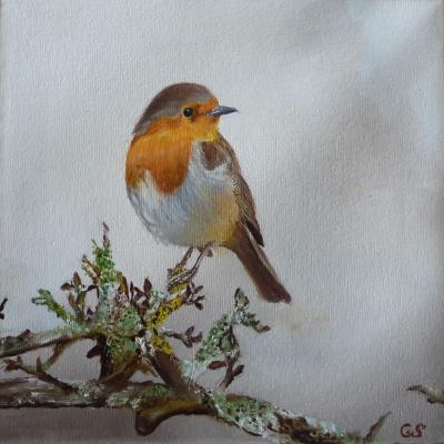 Roodborstje 02 Doek 20x20