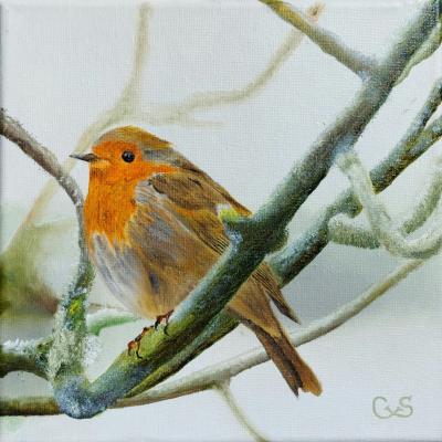 Roodborstje 03 Doek 20x20