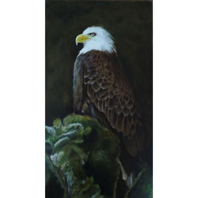 Zee Arend Paneel 25x40 Verkocht