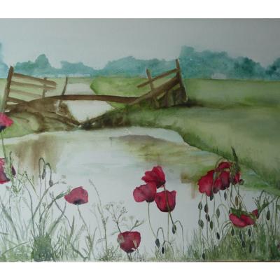Landschap Met Klaprozen