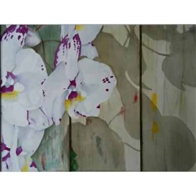 Orchidee 2 40x30
