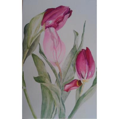 Tulpen 2 45x30